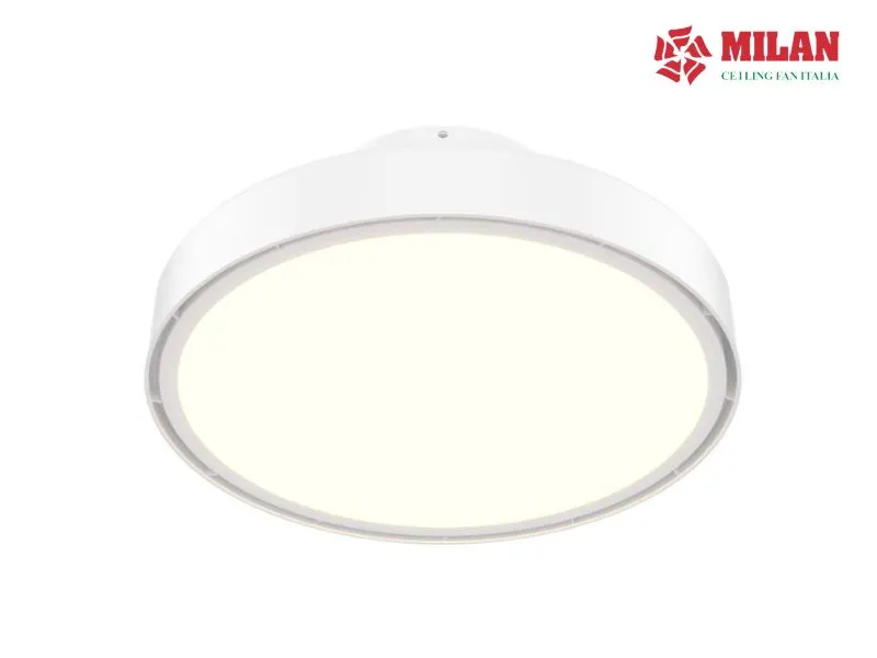 quat-tran-khong-canh-co-mat-khong